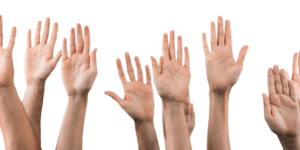 clients raising hands for questions