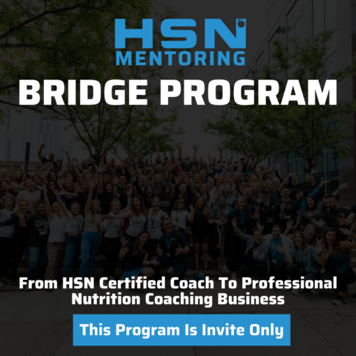 HSN Mentoring Bridge Program